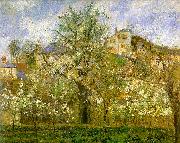 Camille Pissaro Kitchen Garden with Trees in Flower, Pontoise Norge oil painting reproduction